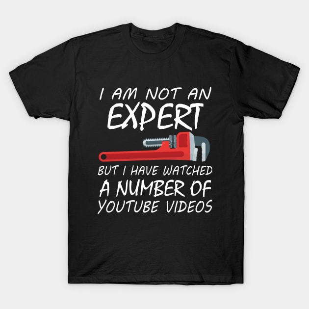 I Am Not An Expert But I Have Watched A Number Of Youtube Video T-Shirt by Tee-hub